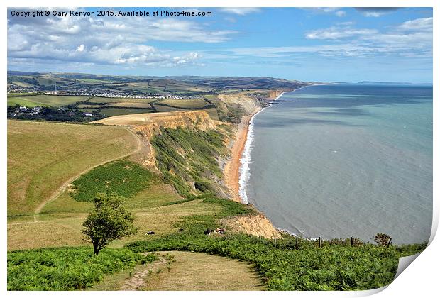 Dorset Views From Thorncombe Beacon Print by Gary Kenyon