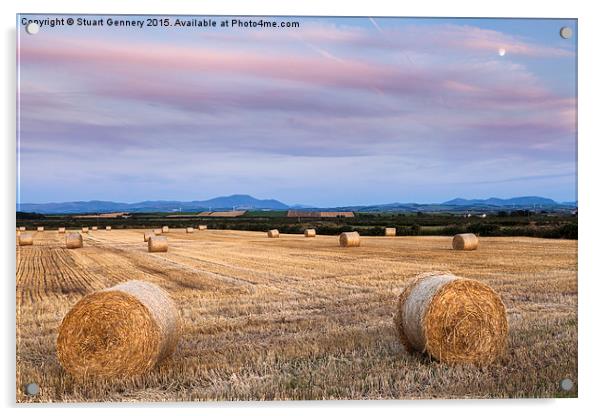  Cumbrian Harvest Acrylic by Stuart Gennery