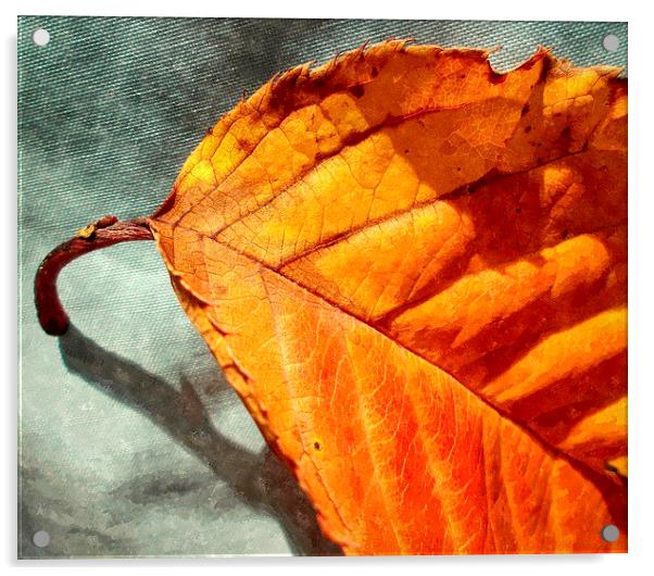  single leaf Acrylic by dale rys (LP)