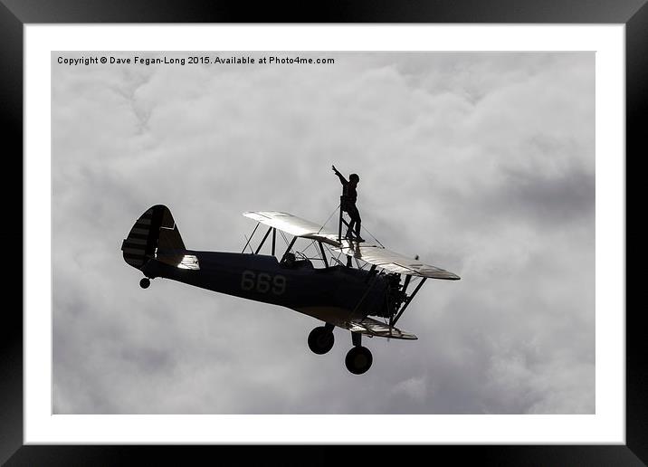 Wing Walking At Damyns Hall Aerodrome (Essex)  Framed Mounted Print by Dave Fegan-Long