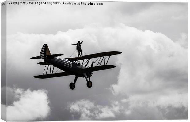  Soaring like an eagle Canvas Print by Dave Fegan-Long