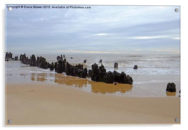  Walberswick Beach Suffolk Acrylic by Diana Mower