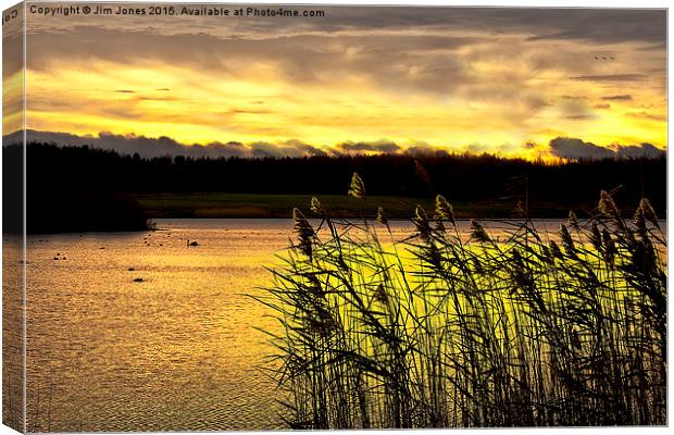 Early morning glow over the lake Canvas Print by Jim Jones