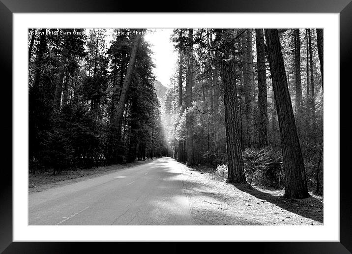  Yosemite Forest Trail Framed Mounted Print by Liam Green