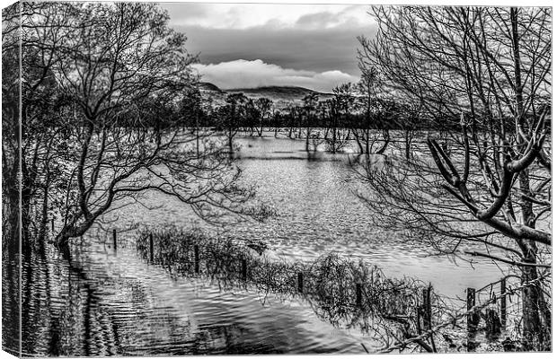  Conwy Valley in Flood  Canvas Print by Chris Evans