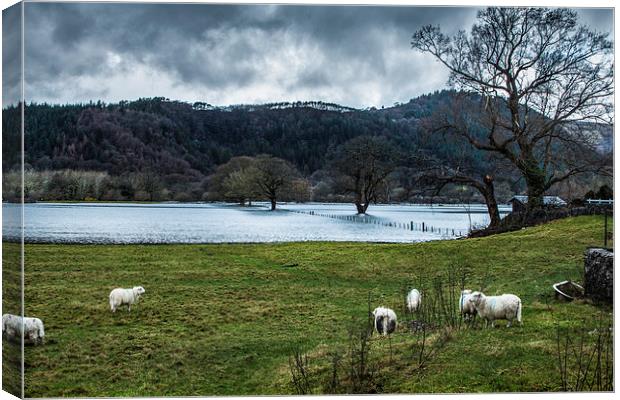  Conwy Valley Flood Canvas Print by Chris Evans