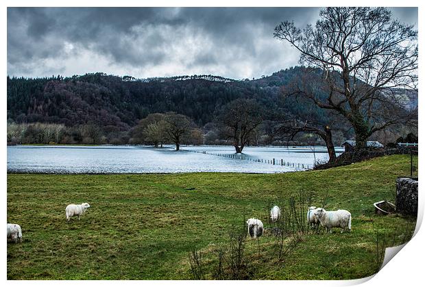  Conwy Valley Flood Print by Chris Evans