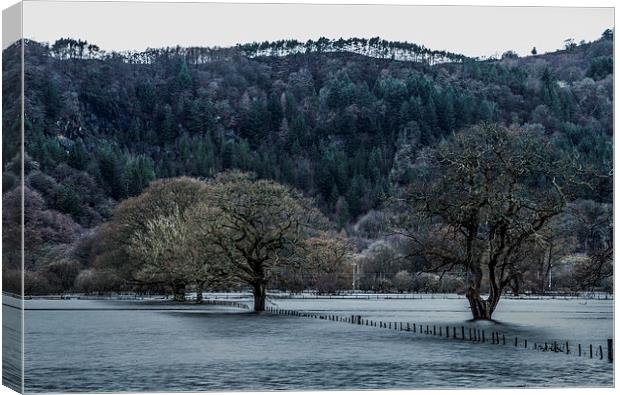 Flooded Conwy Valley  Canvas Print by Chris Evans