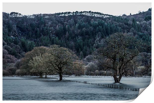 Flooded Conwy Valley  Print by Chris Evans