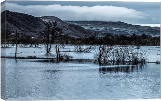  Valley in flood in Conwy  Canvas Print by Chris Evans