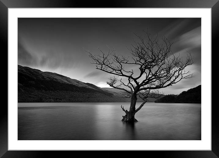  Loch Tree Framed Mounted Print by Grant Glendinning