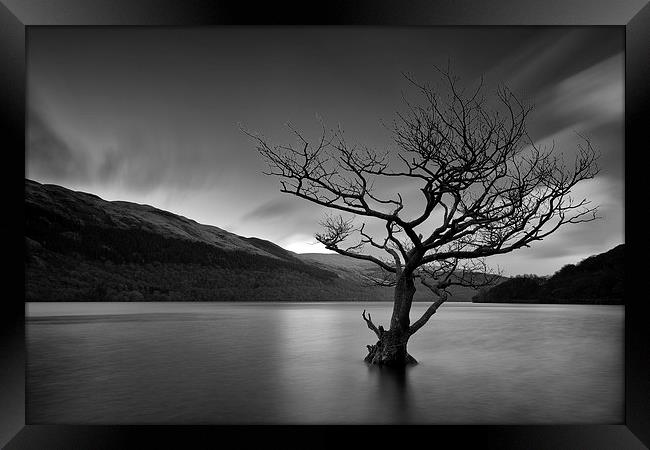  Loch Tree Framed Print by Grant Glendinning