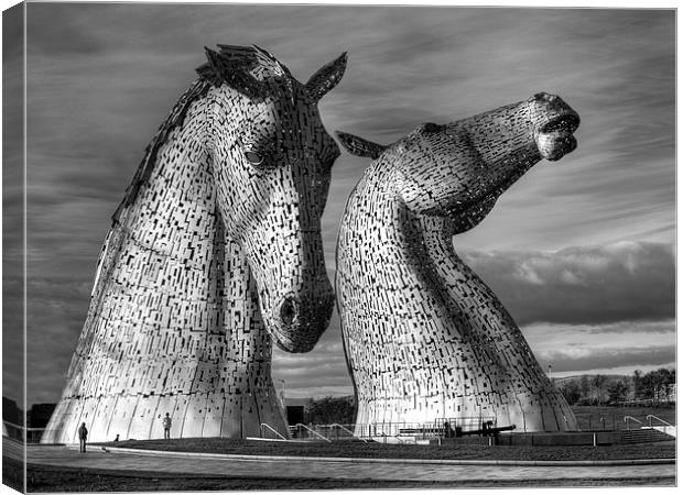  The magnificent Kelpies sculptures near Falkirk,  Canvas Print by Tommy Dickson
