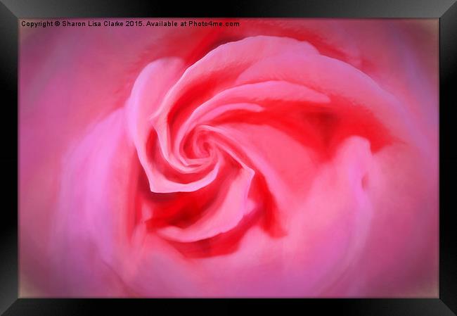  Folds of romance Framed Print by Sharon Lisa Clarke