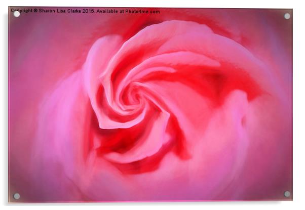  Folds of romance Acrylic by Sharon Lisa Clarke
