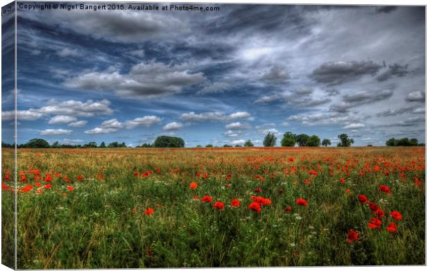  Essex Poppy Field Canvas Print by Nigel Bangert