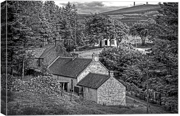 Cottages in the Trees - B&W Canvas Print by Tom Gomez