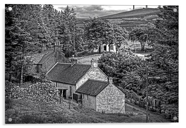 Cottages in the Trees - B&W Acrylic by Tom Gomez