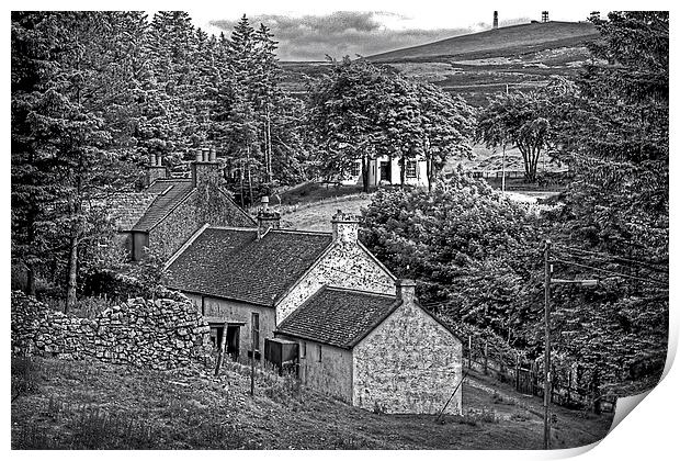 Cottages in the Trees - B&W Print by Tom Gomez