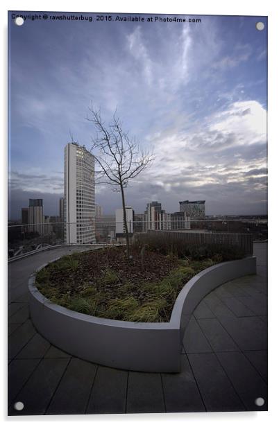 Birmingham Rooftop Garden Acrylic by rawshutterbug 
