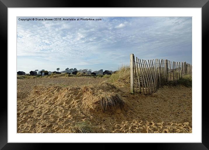 Walberswick beach huts Framed Mounted Print by Diana Mower