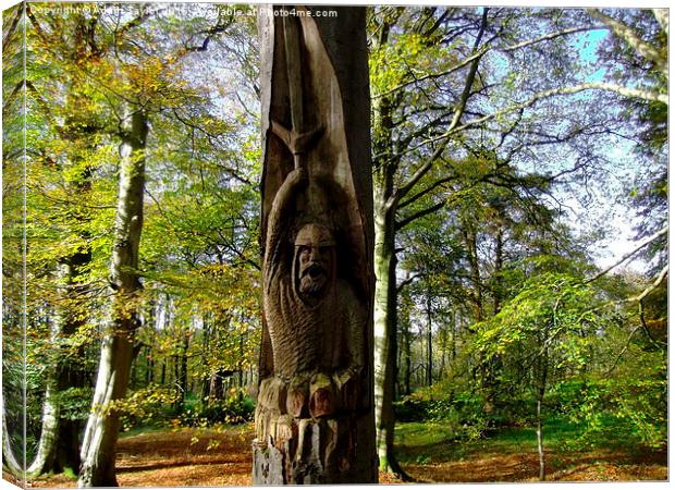  Robert the bruce in the trees in scotland Canvas Print by Adam Taylor