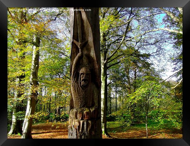  Robert the bruce in the trees in scotland Framed Print by Adam Taylor