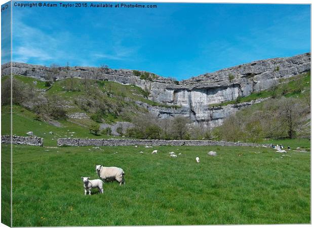  Spring at Malham cove, yorkshire Canvas Print by Adam Taylor