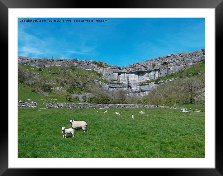  Spring at Malham cove, yorkshire Framed Mounted Print by Adam Taylor