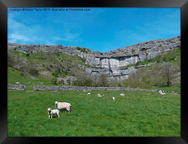  Spring at Malham cove, yorkshire Framed Print by Adam Taylor