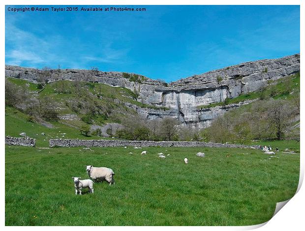 Spring at Malham cove, yorkshire Print by Adam Taylor