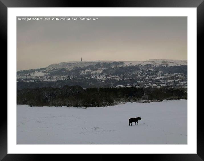  Lonely horse in snowy Lancashire Framed Mounted Print by Adam Taylor