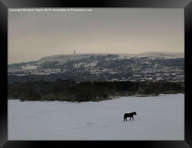  Lonely horse in snowy Lancashire Framed Print by Adam Taylor