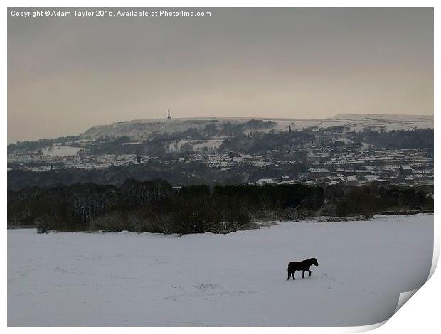  Lonely horse in snowy Lancashire Print by Adam Taylor