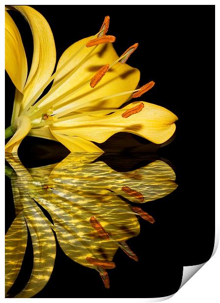 Memories on reflection Print by JC studios LRPS ARPS