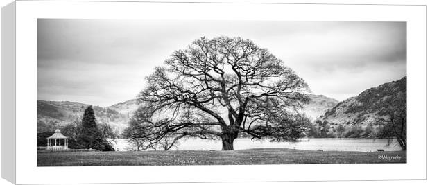  The tree at the Inn on The Lake , Ullswater Canvas Print by Rob Medway