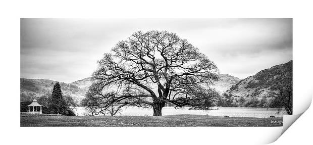  The tree at the Inn on The Lake , Ullswater Print by Rob Medway