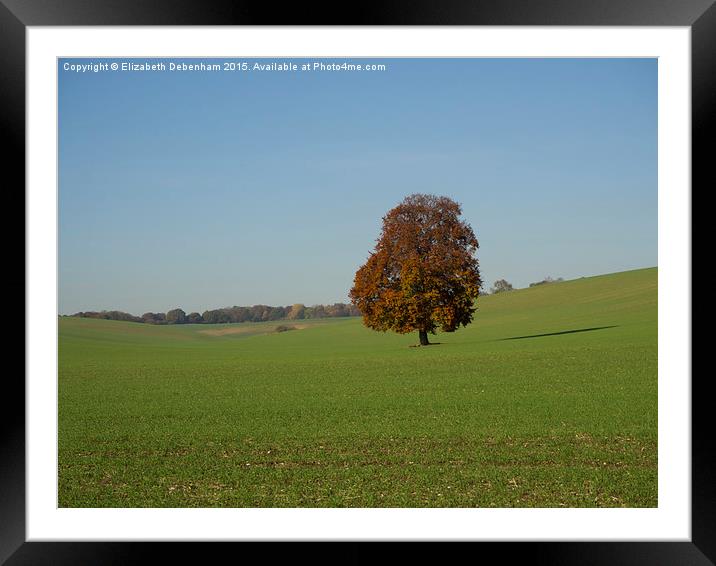 Lone Tree in a field Framed Mounted Print by Elizabeth Debenham
