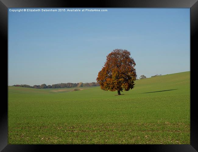 Lone Tree in a field Framed Print by Elizabeth Debenham