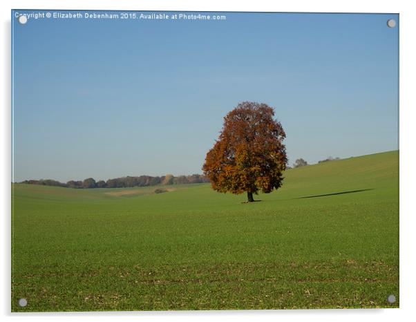 Lone Tree in a field Acrylic by Elizabeth Debenham