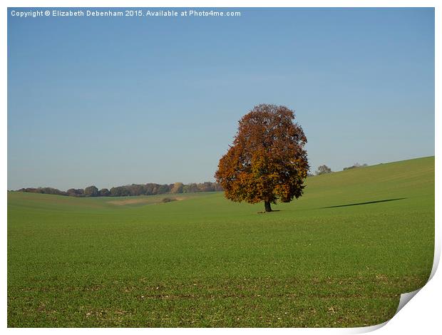 Lone Tree in a field Print by Elizabeth Debenham