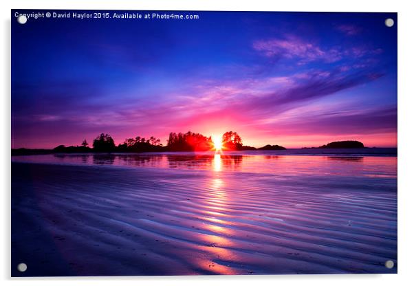  Frank Island sunset, Vancouver Island Acrylic by David Haylor