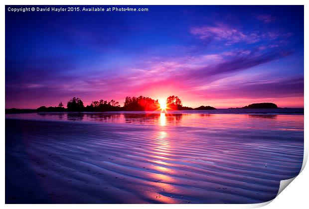  Frank Island sunset, Vancouver Island Print by David Haylor