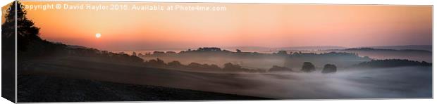  Mist Dawn at Newlands Corner Canvas Print by David Haylor