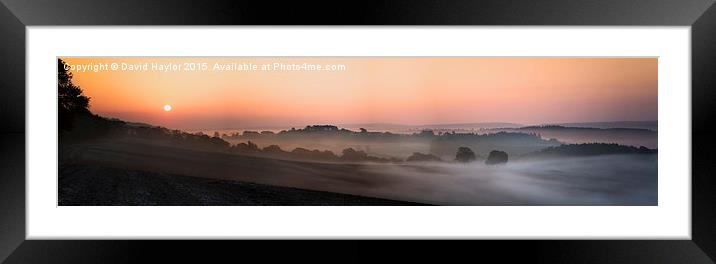  Mist Dawn at Newlands Corner Framed Mounted Print by David Haylor