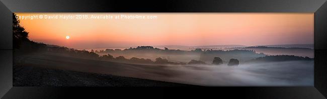  Mist Dawn at Newlands Corner Framed Print by David Haylor