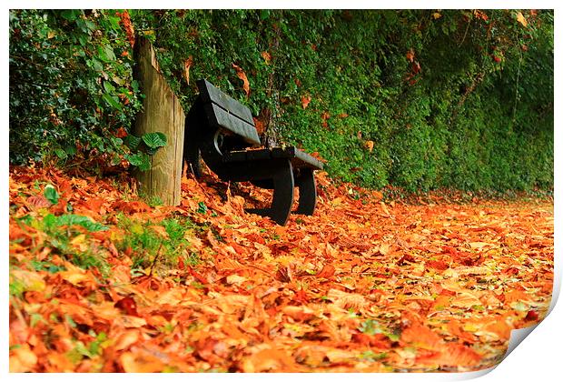  Autumn leaves Print by Darren Evans