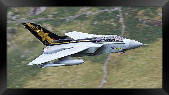  31 Squadron Goldstar RAF Tornado Gr4 Framed Print by Rory Trappe