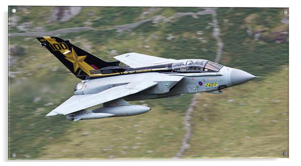  31 Squadron Goldstar RAF Tornado Gr4 Acrylic by Rory Trappe