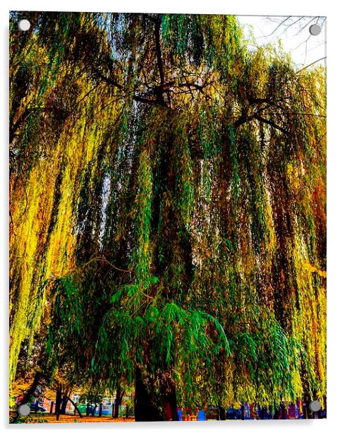  autumnal tree Acrylic by Carl Harlott